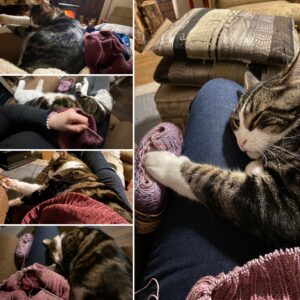 A collage of photos showing Hoshi coexisting with my knitted skirt in progress.